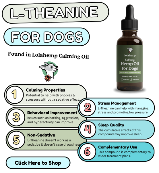 l-theanine found in lolahemp calming oil