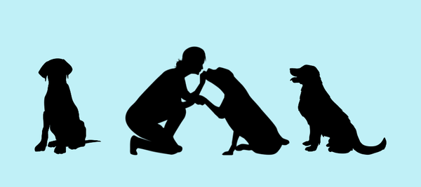 woman petting her dogs 