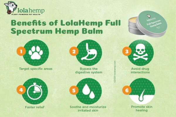 topical cbd for pets, lolahemp balm