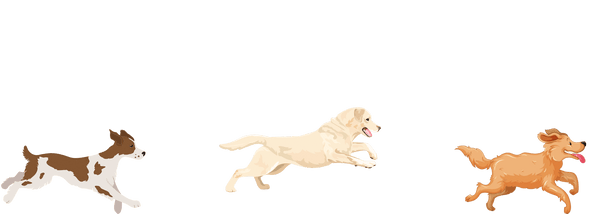 dogs exercising