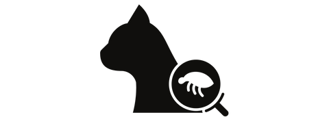 spyglass and flea cat