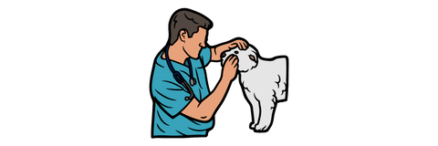 vet treating a dog