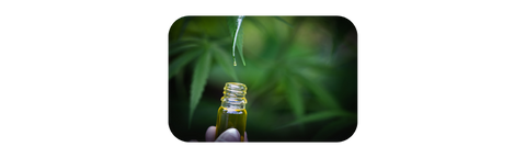hemp oil being dropped from a dropper