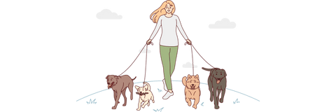 woman walking many dogs