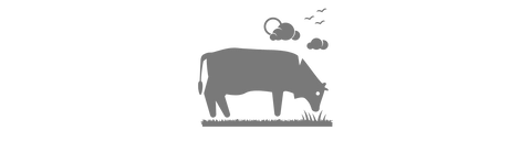 source and quality of colostrum