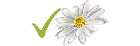 chamomile's benefits to dogs