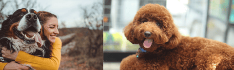 A woman hugging her dog next to a picture of a dog looking at a camera.