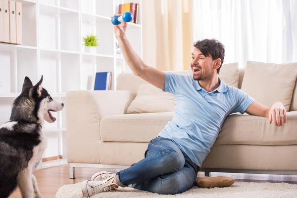 man in blue shirt and jeans playing with his husky dog and a blue toy