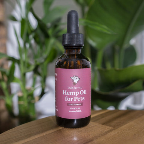 Lolahemp Extra Strength Hemp Oil for pets