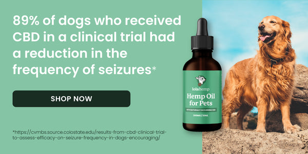 lolahemp for pets, 89% of dogs experienced a benefit in a clinical trial for seizures