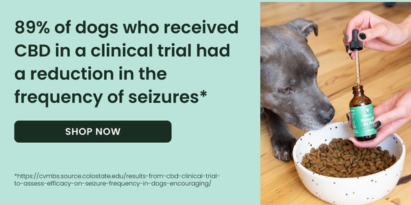 89% of dogs in a clinical trial experienced benefits from cbd for seizures