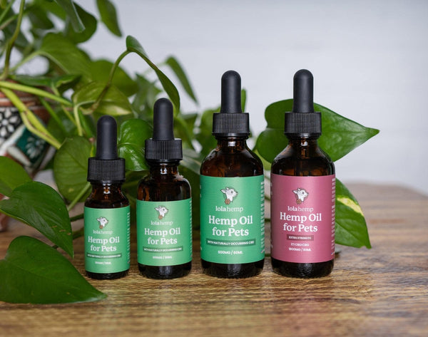 Four different sizes of Lolahemp tinctures