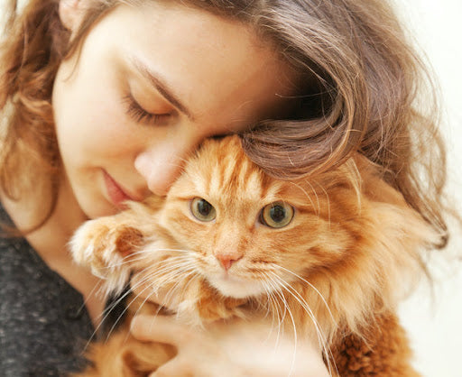 owner hugging small cat