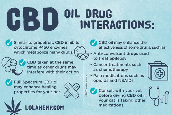 CBD Oil Drug Interactions Infographic