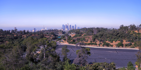 Elysian Park