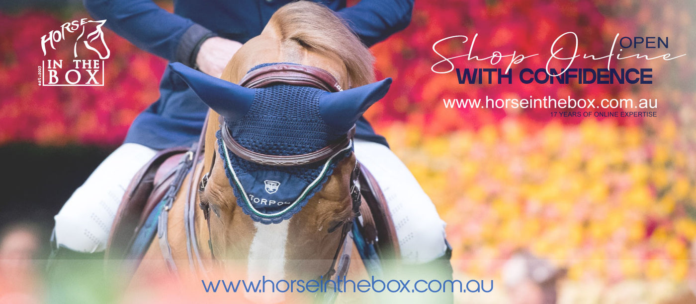 cheap equestrian clothing sale