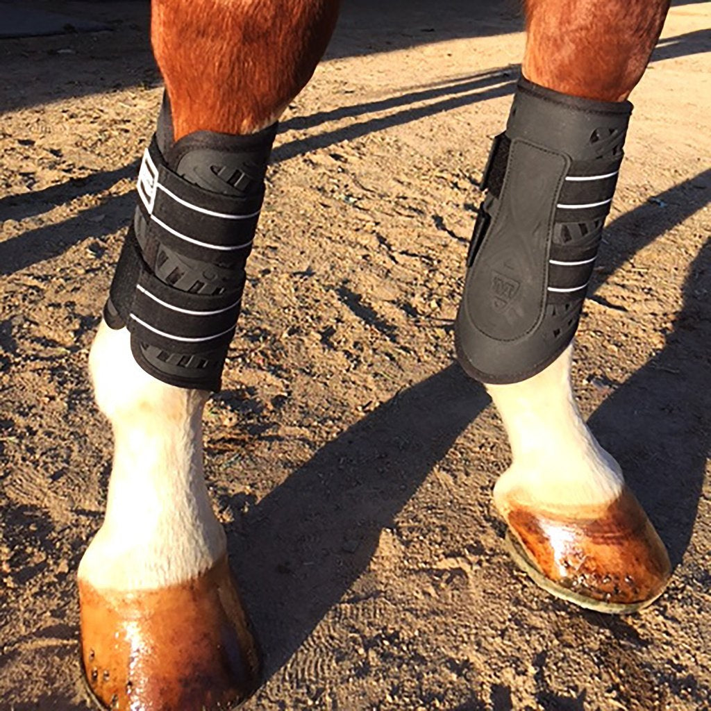 Majyk Equipe Dressage/Sport Boots | High quality at affordable price