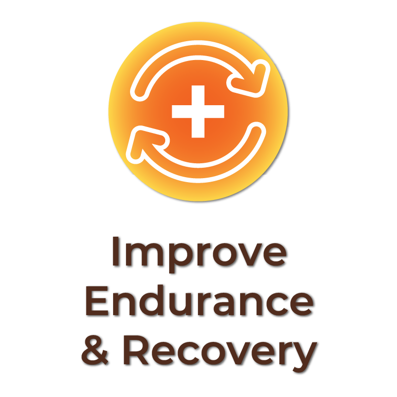 AC-improve-endurance-benfit-icon-brown.png__PID:5b376731-4bc8-471e-a615-7317b0e1ed4e