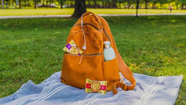 backpack on a blanket in a park with grab the gold bars