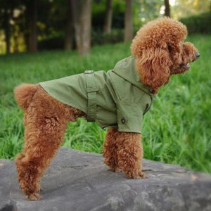 The Continental Belted Dog Trench Coat with Hood – The Uppity Puppy