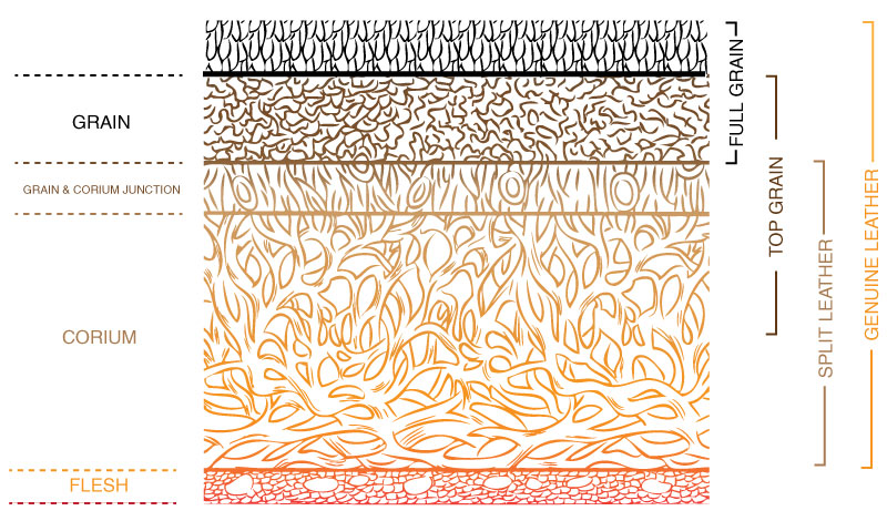 leather cross section