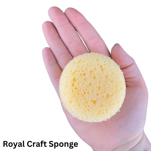 Hydra Sponges - Ben Nye