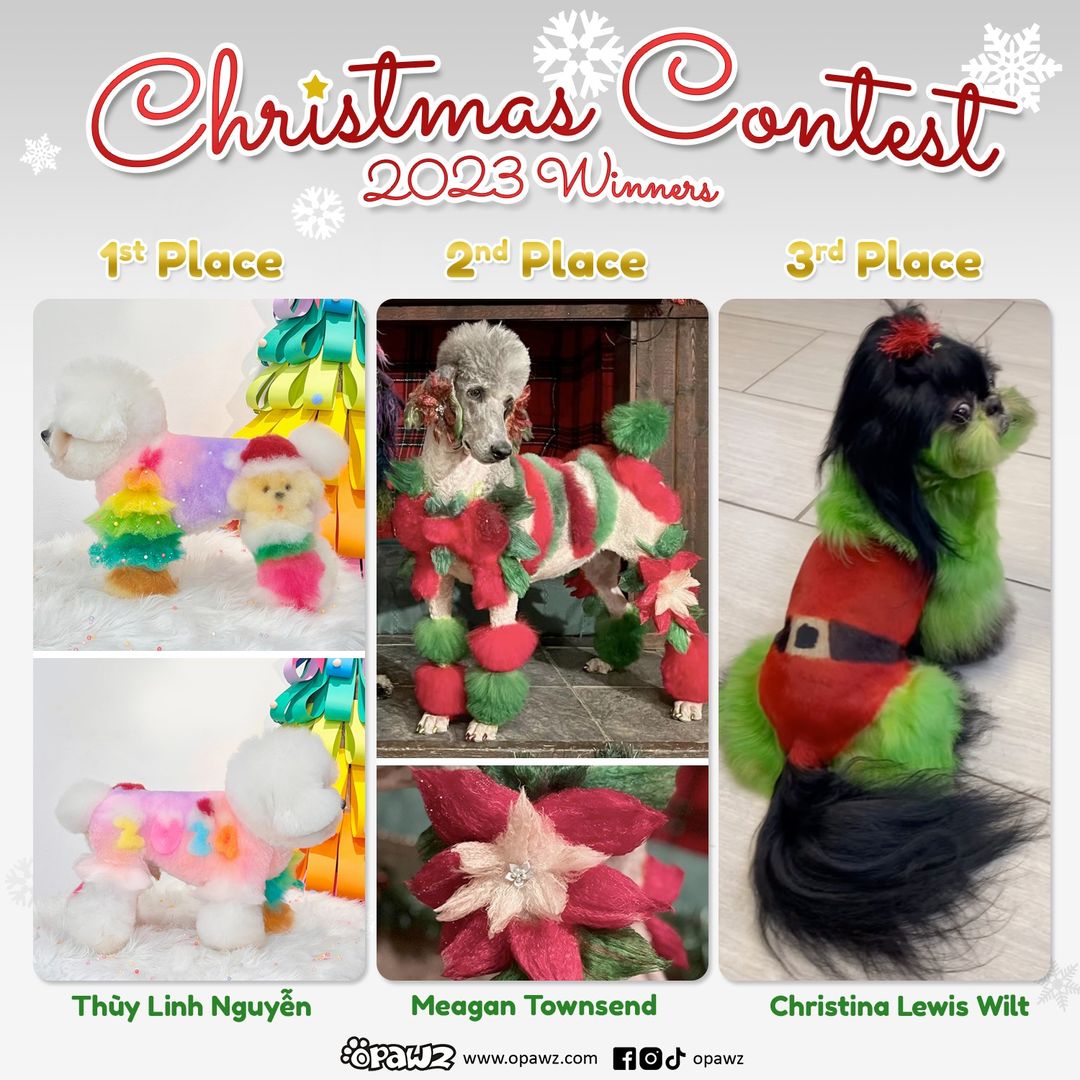 Christmas Creative Dog Grooming Contest OPAWZ 2023