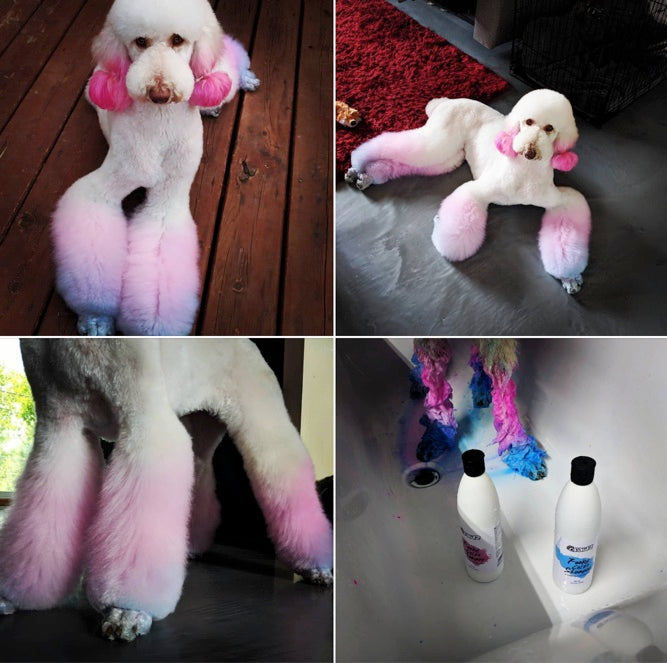 opawz dog color shampoo cuidado creativo