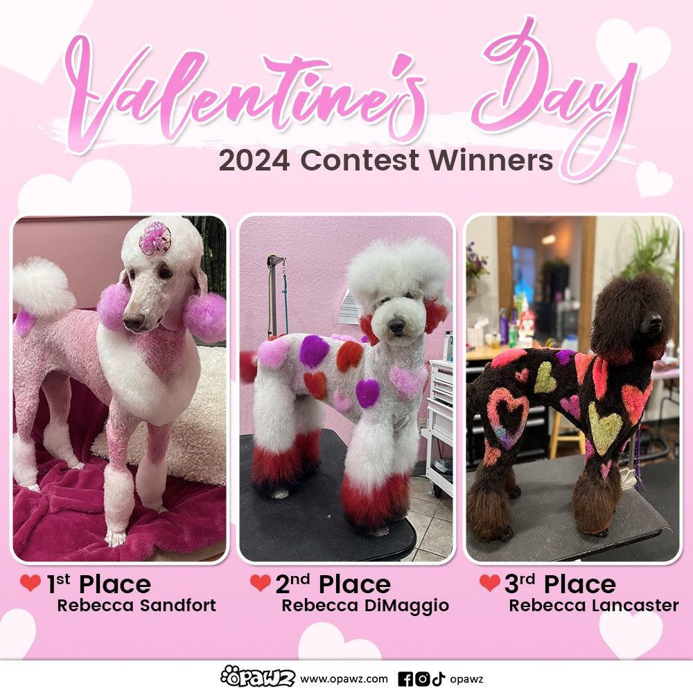 OPAWZ Valentine-Themed Creative Dog Grooming Contest 2024