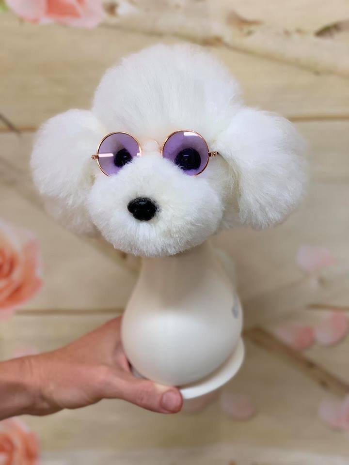 OPAWZ Model Dog and Wigs