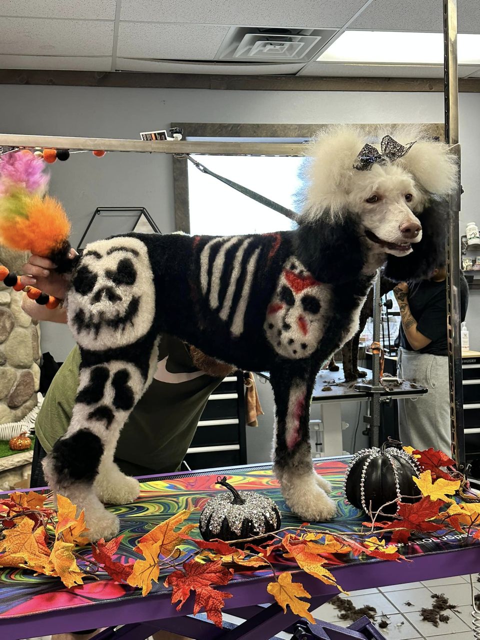 tinte para el cabello seguro para perros