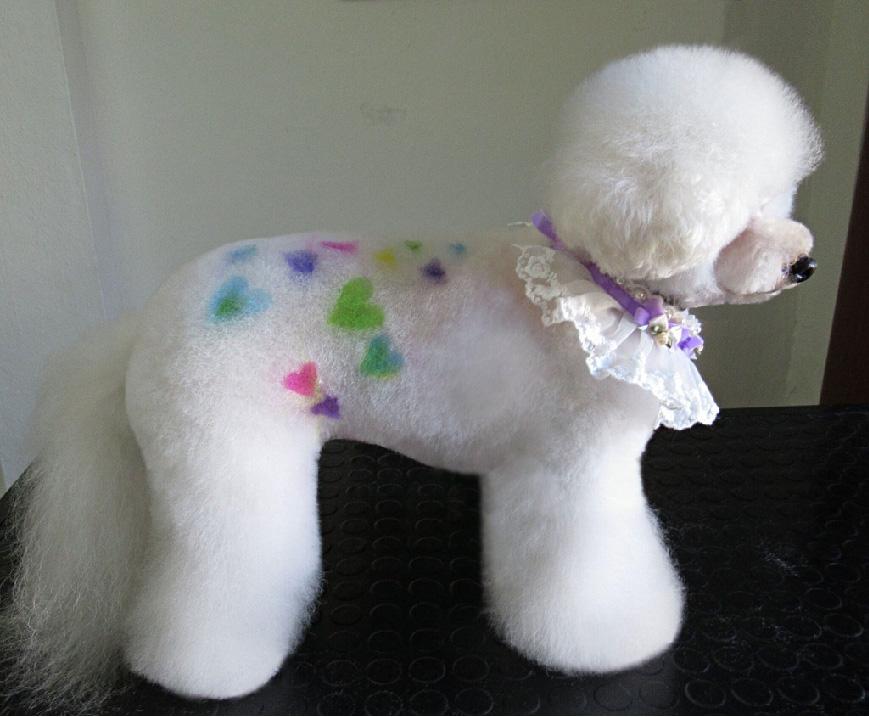 Isabella_Jane_Doblas_Jones_Groomer_con_OPAWZ_Temporary_Colos_and_Asian_Fusion_Collar.
