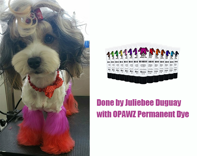 Juliebee Duguay con tinte permanente OPAWZ