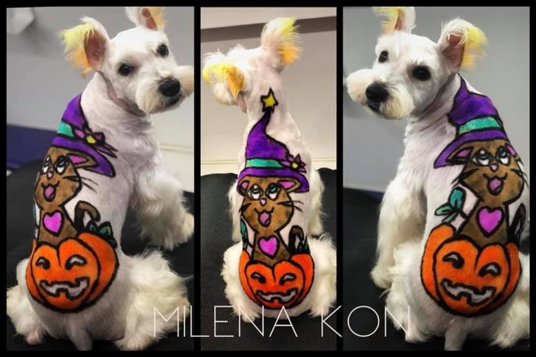 Concurso de Halloween OPAWZ 2018-Milena Kon