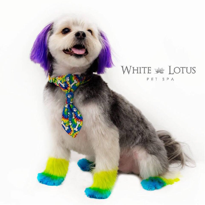 Spa para mascotas de loto blanco con tintes permanentes.