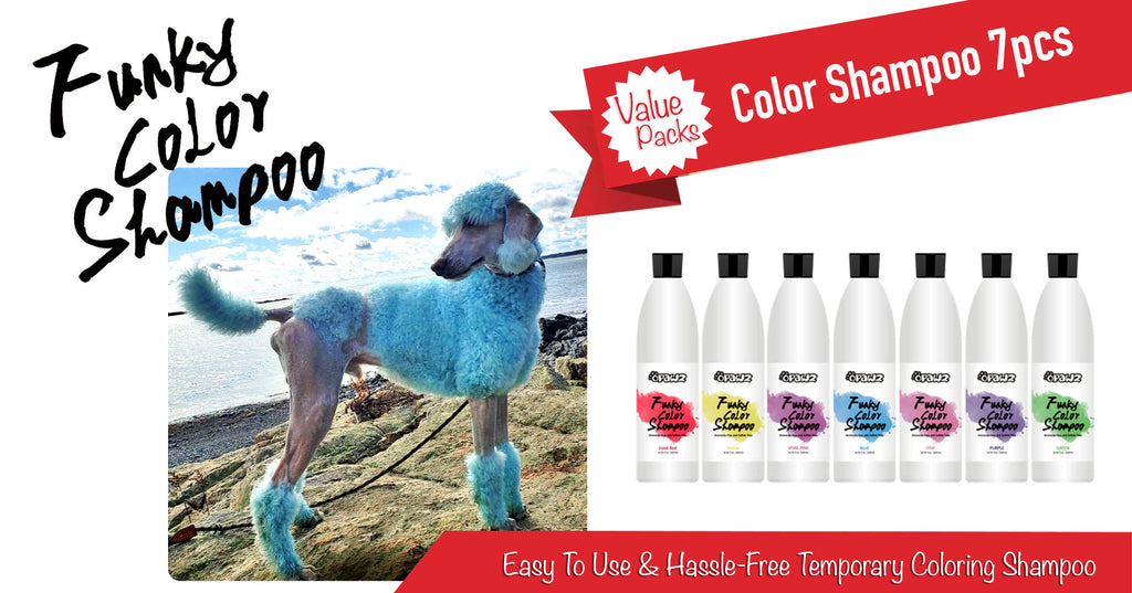 shampoing couleur pour chien