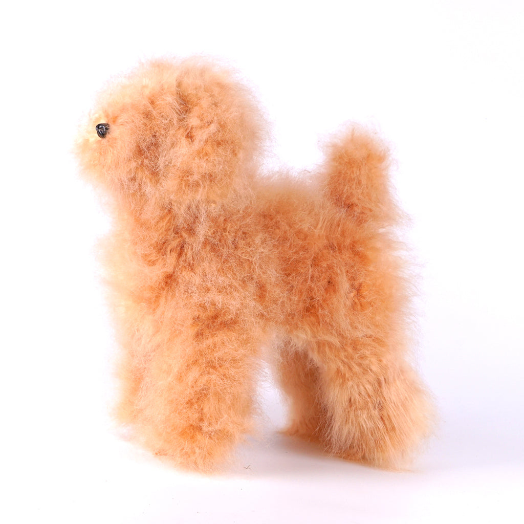 OPAWZ Toy Poodle Model Dog with High-Density Wig Value Pack (VP19)