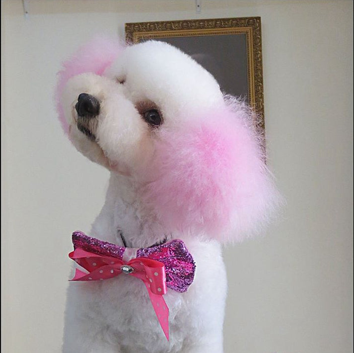 Про розовых собак. Розовая собачка. Краска для собак розовая. Плюшевая розовая собачка Джесси. Собака с розовой соской.