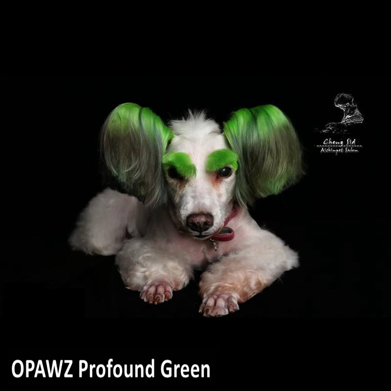 green dog salon