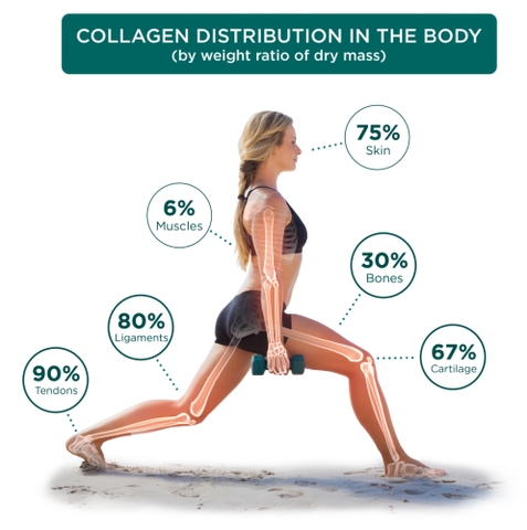 does collagen help with cellulite