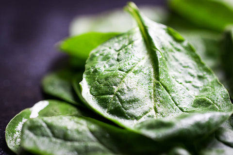 baby spinach leaves