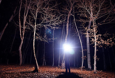 A person standing in a dark forest, holding a bright flashlight.
