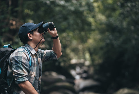 A man in a blue, plaid shirt holding binoculars and looking through them. A lush green forest is behind him.