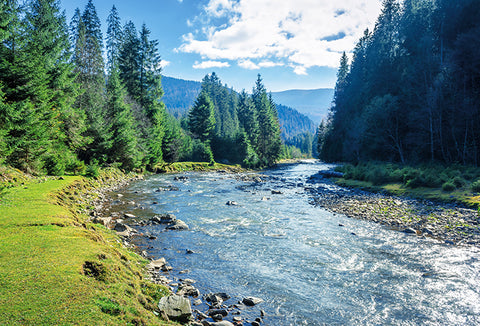 Glittering blue river running through an open forest with green grass and tall green trees.