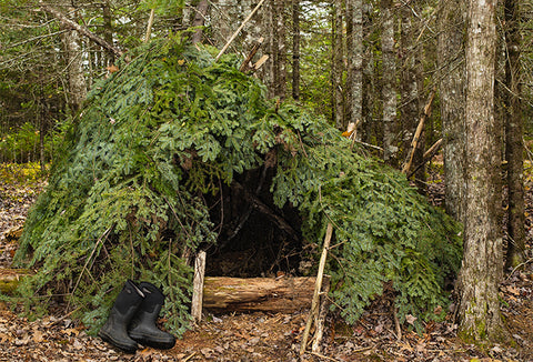 A shelter in the forest made from sticks and green leaves, black boots by the entrance.