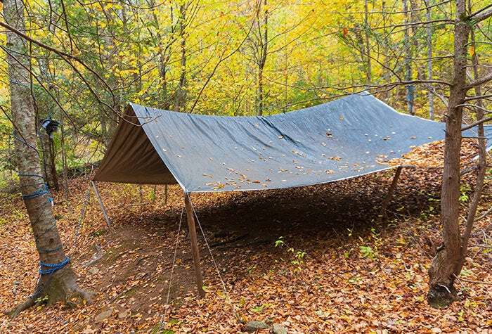 tarp shelter in the woods