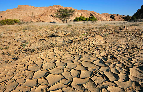 Cracked dirt ground in a hot desert with hills in the background.