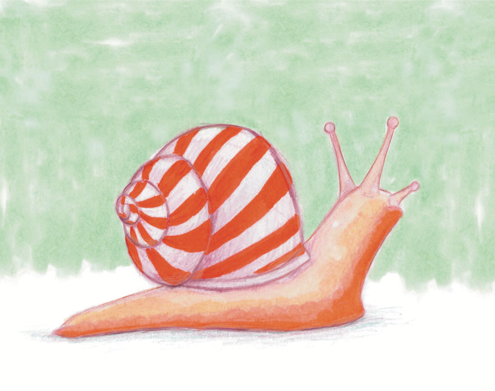 Peppermint Snail