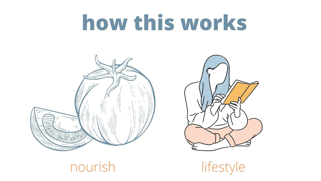 How the Marian Hearne Nutrition Essentials Toolkit Works