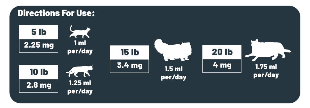 Cat CBD suggested dosing